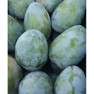 Fresh Mango