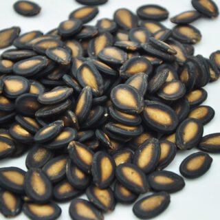 Watermelon Seed